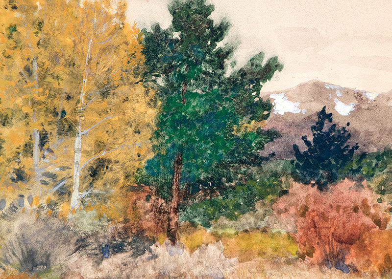 Untitled (Trees in Autumn, Colorado), Mixed Media Painting, circa 1900