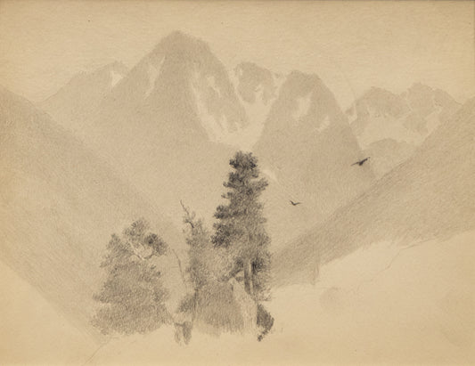 Charles Partridge Adams (1858-1942) artwork for sale. Untitled, Graphite Drawing, circa 1910