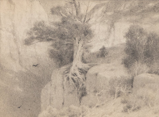 Charles Partridge Adams (1858-1942) artwork for sale. Untitled, Graphite Drawing, circa 1910