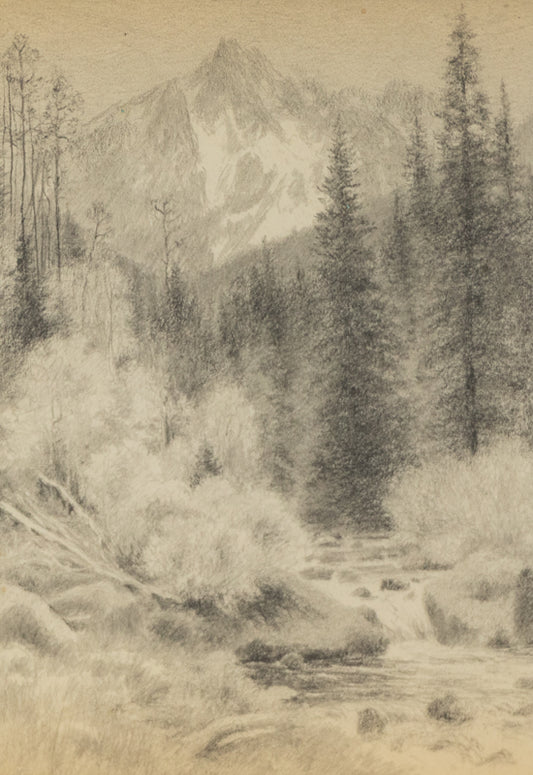 Charles Partridge Adams (1858-1942) artwork for sale. Untitled, Graphite Drawing, circa 1910