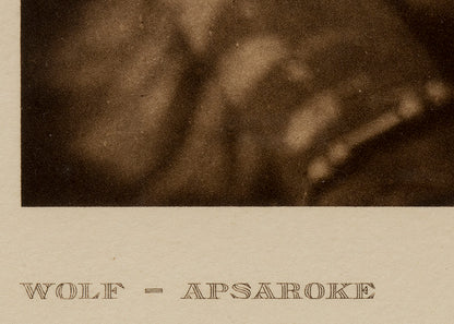 Wolf- Apsaroke, Portfolio #4, Plate #142, Photogravure Photogravure, 1908