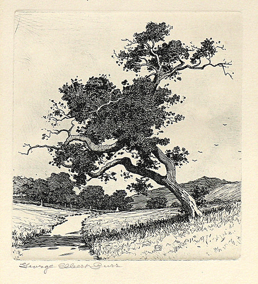 A Santa Barbara Road, California, Etching Print, circa 1913