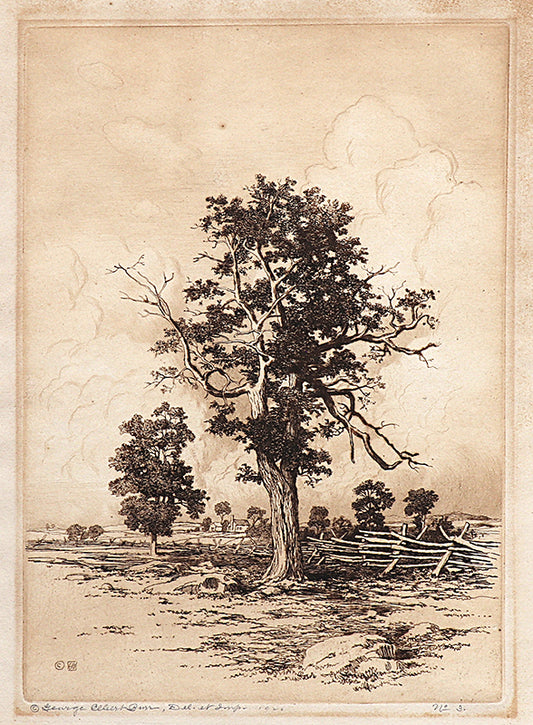 Old Oaks, Etching Print, 1920