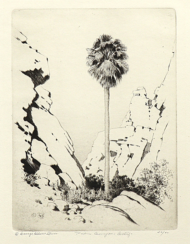 Palm Canyon, California (Desert Set), Etching Print, circa 1921