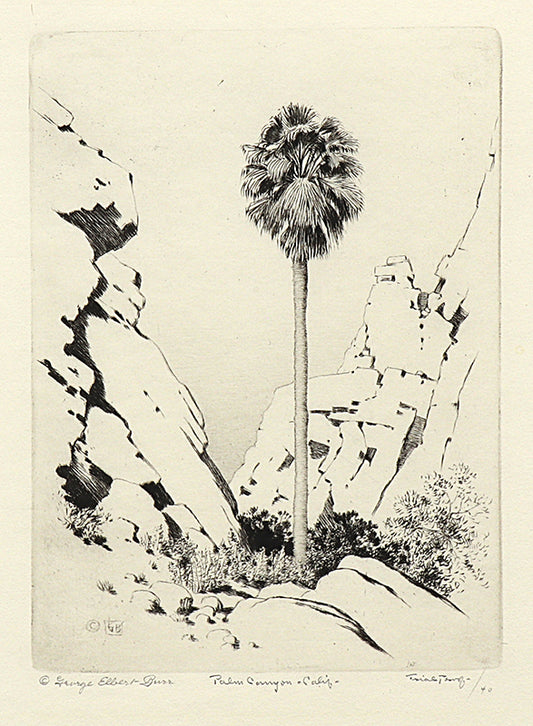 Palm Canyon, California (Desert Set), Etching Print, circa 1921