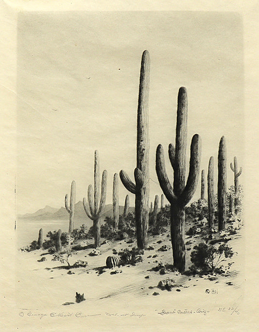 Giant Cactus, Arizona (Desert Set), Etching Print, circa 1921