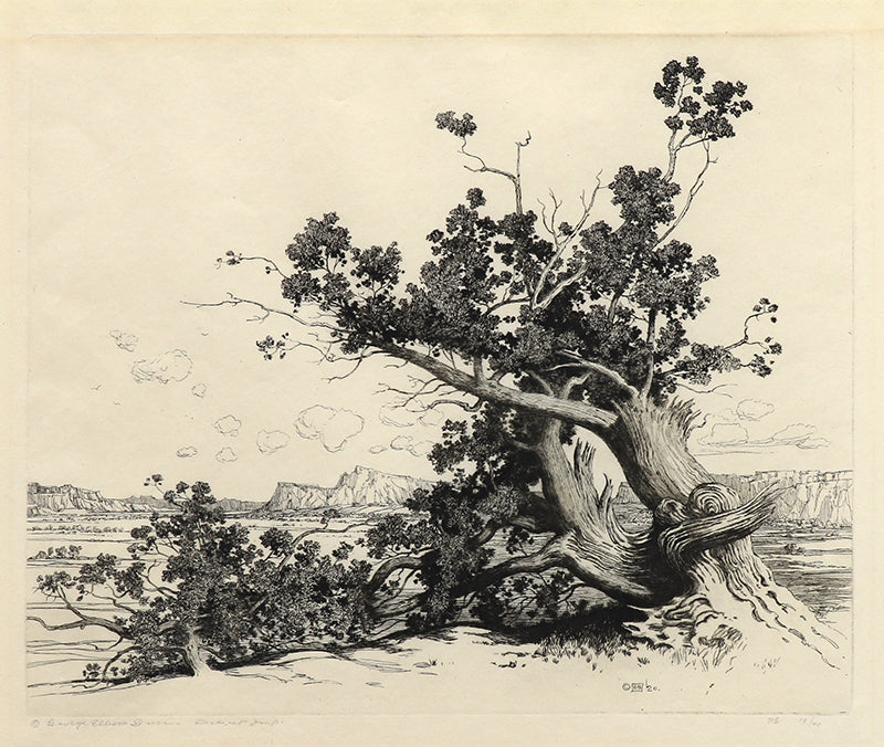 Old Cedars, New Mexico (Desert Set), Etching Print, circa 1921