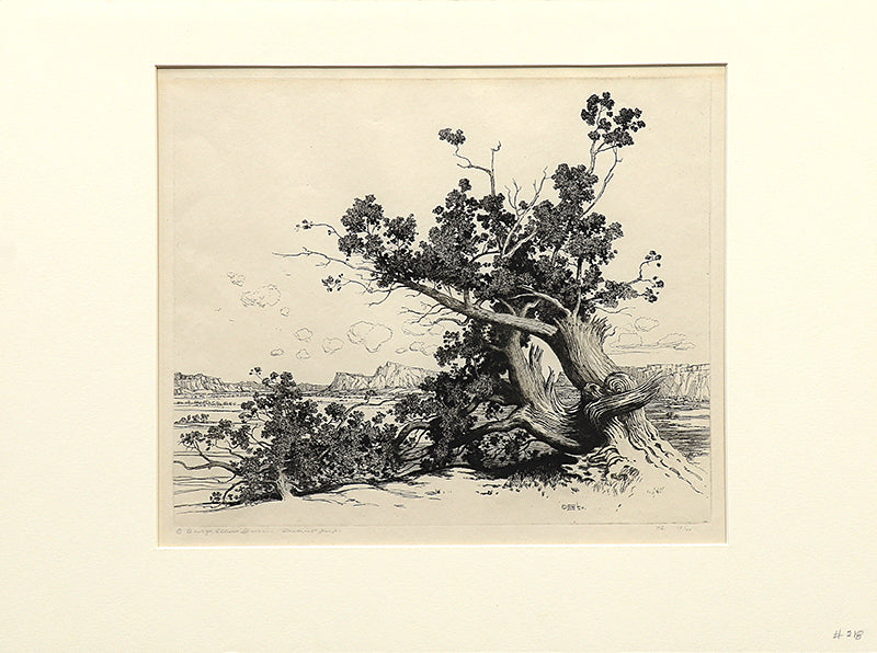 Old Cedars, New Mexico (Desert Set), Etching Print, circa 1921