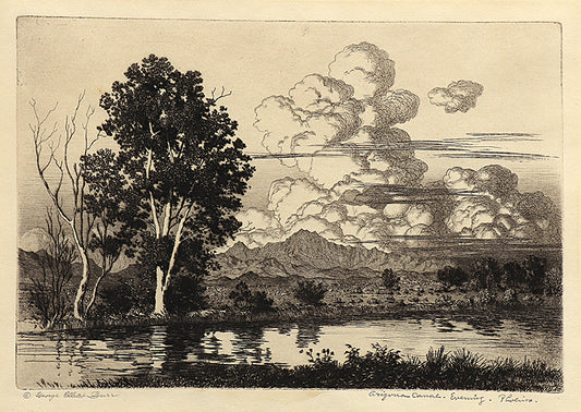 Arizona Canal Evening, Phoenix, Etching Print, circa 1925