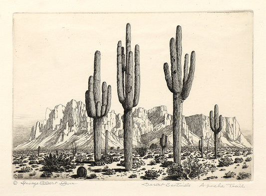 Desert Sentinels, Apache Trail (Arizona), Etching Print, circa 1925