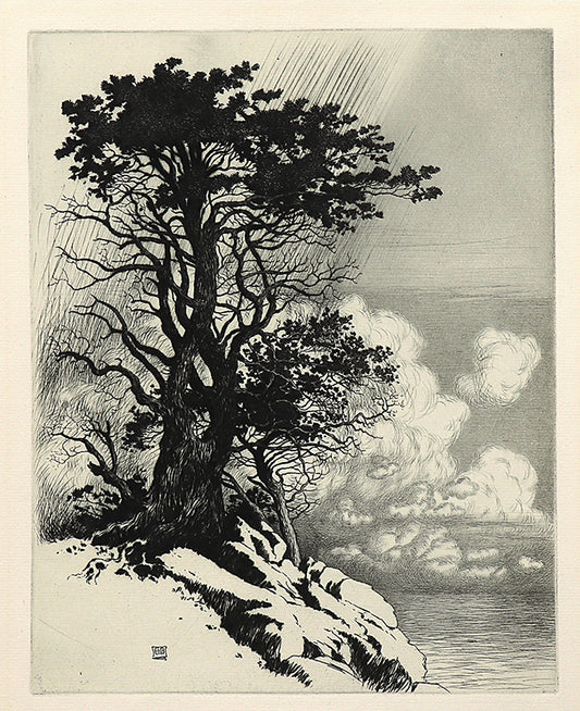 Coast at Monterey, California, Etching Print, circa 1925