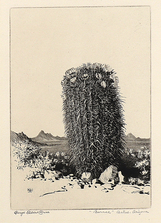 Barrel Cactus, Arizona (Desert Set), Etching Print, circa 1921