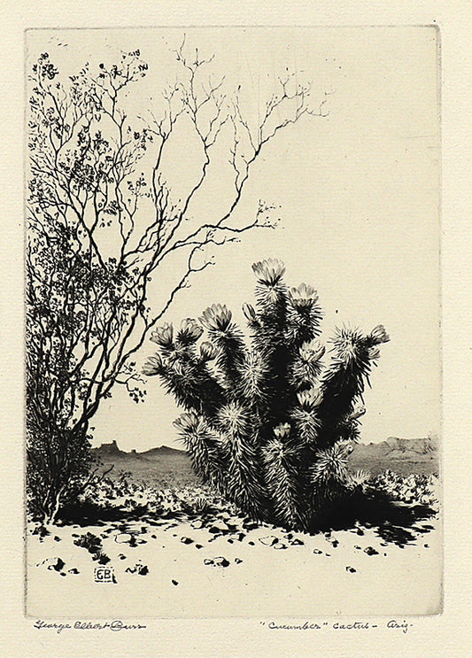 Cucumber Cactus, Arizona, Etching Print, circa 1925