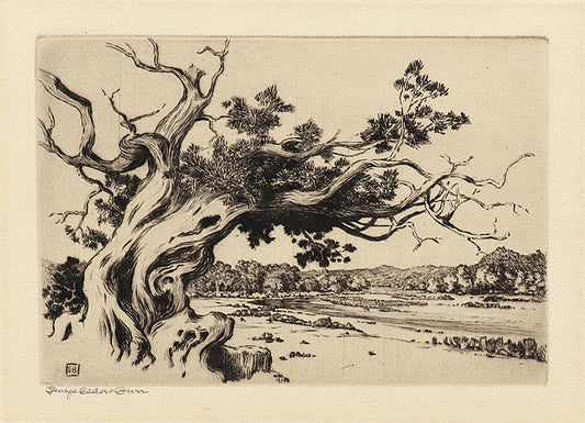 Hassayampa River, Arizona, Etching Print, circa 1925